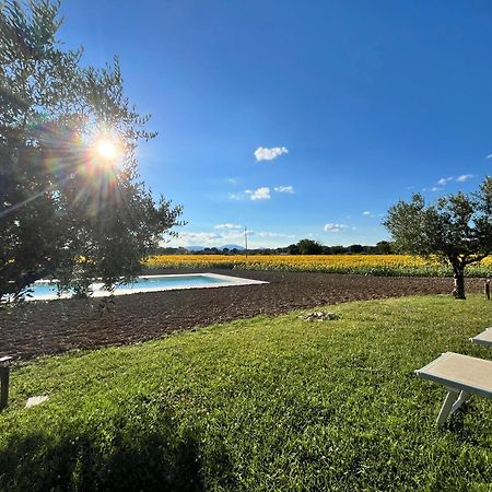 Assisium Agriturismo 外观 照片