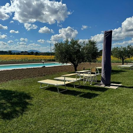 Assisium Agriturismo 外观 照片