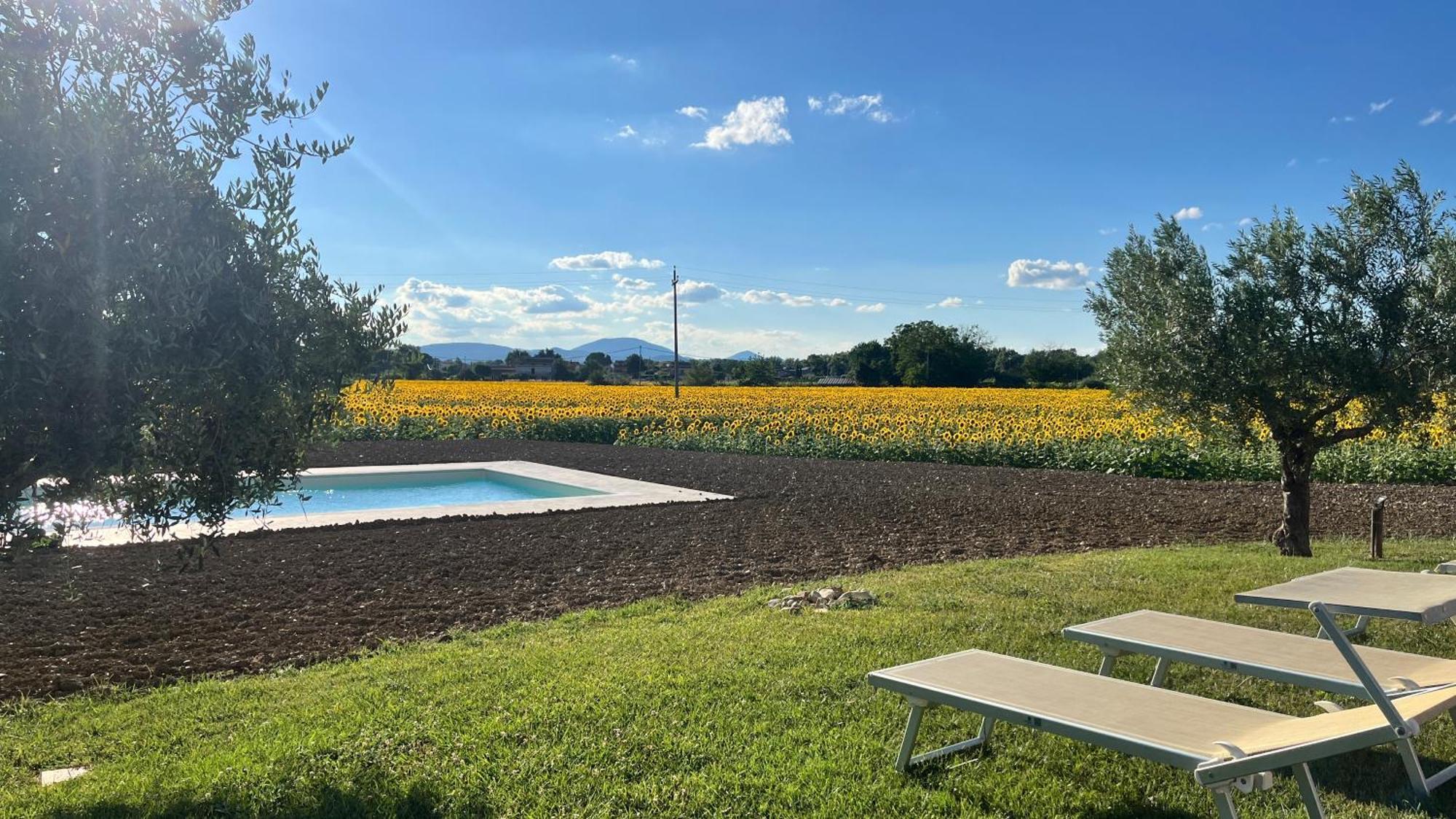 Assisium Agriturismo 外观 照片