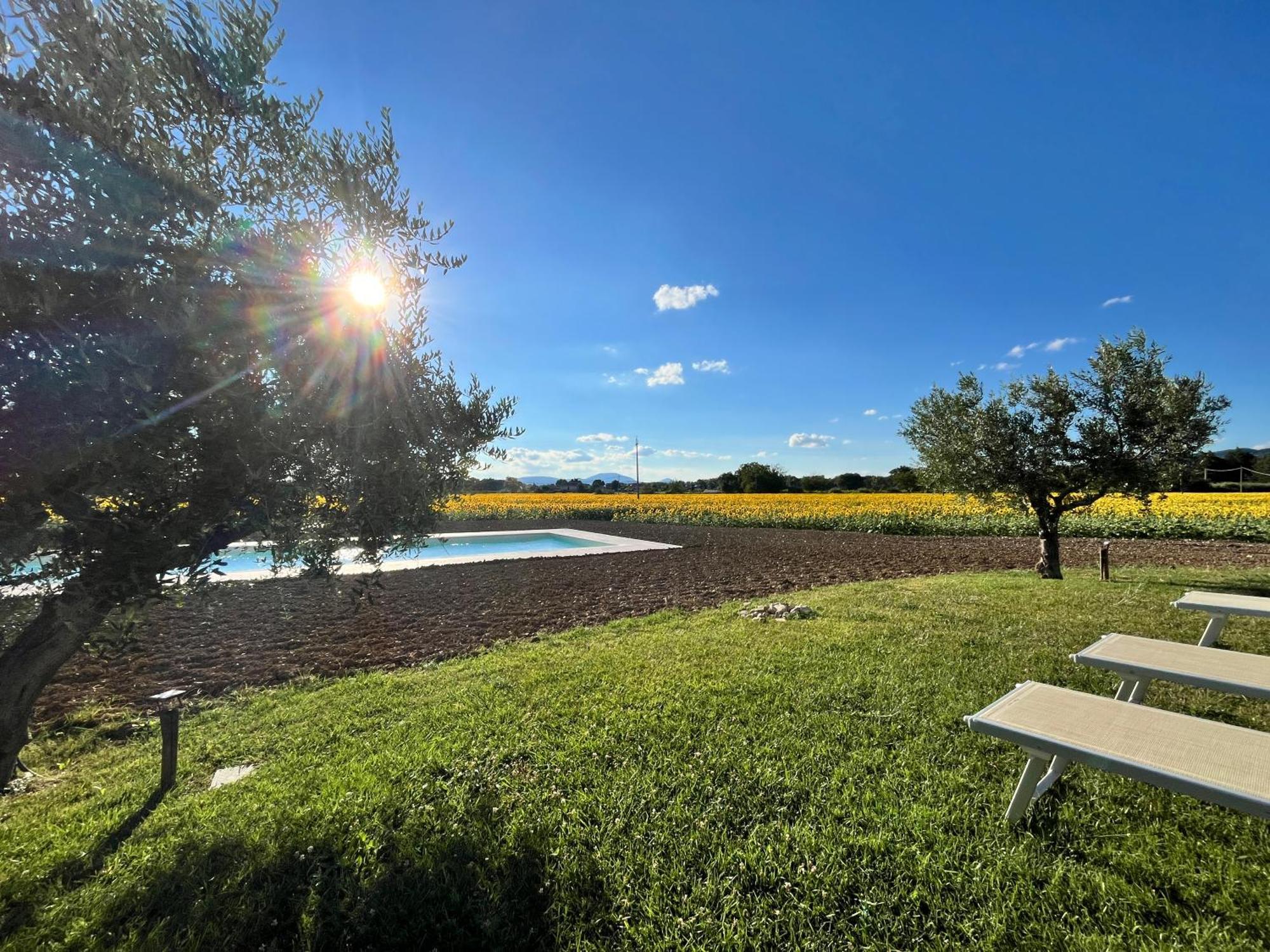 Assisium Agriturismo 外观 照片