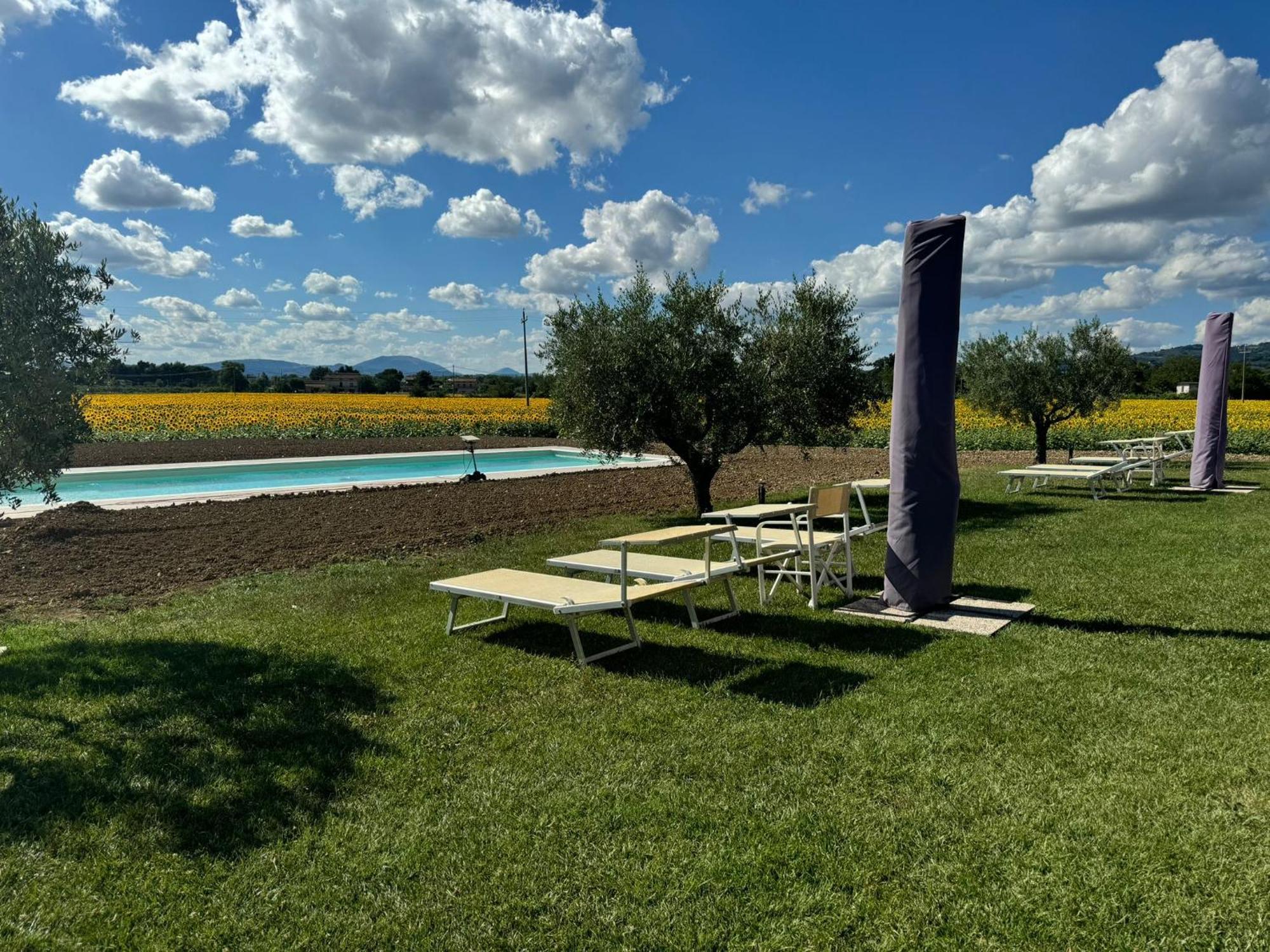 Assisium Agriturismo 外观 照片