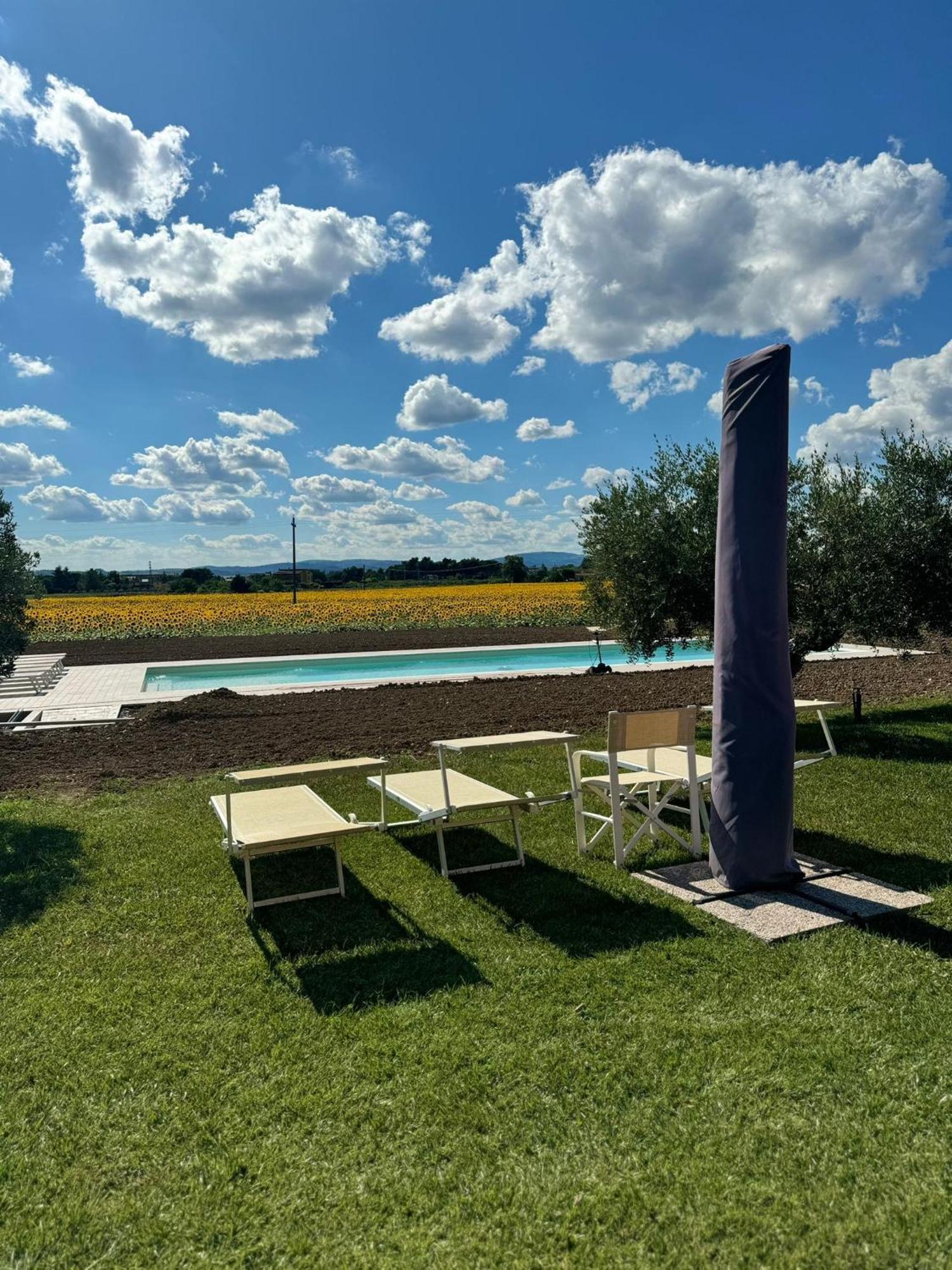 Assisium Agriturismo 外观 照片