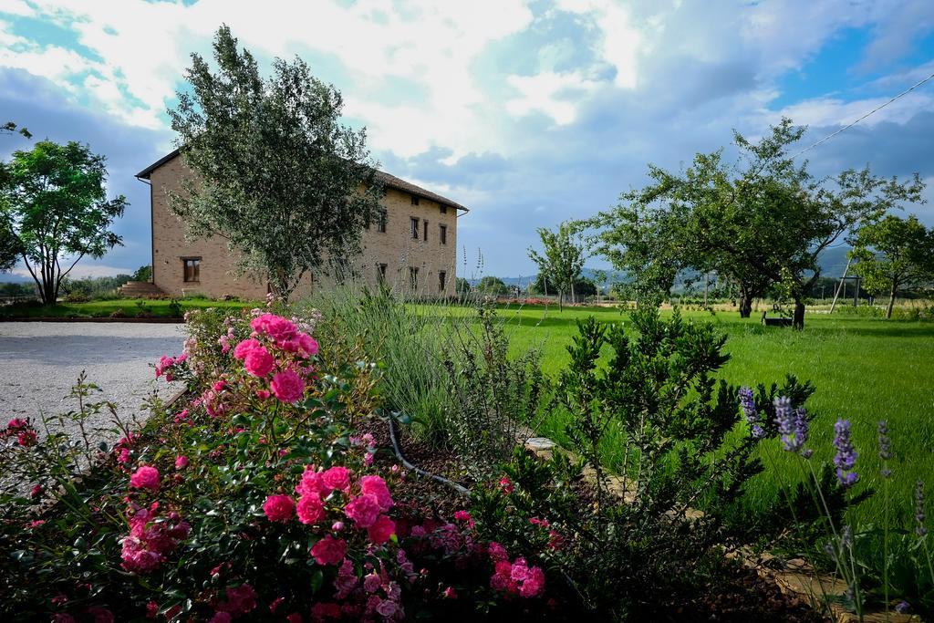 Assisium Agriturismo 外观 照片