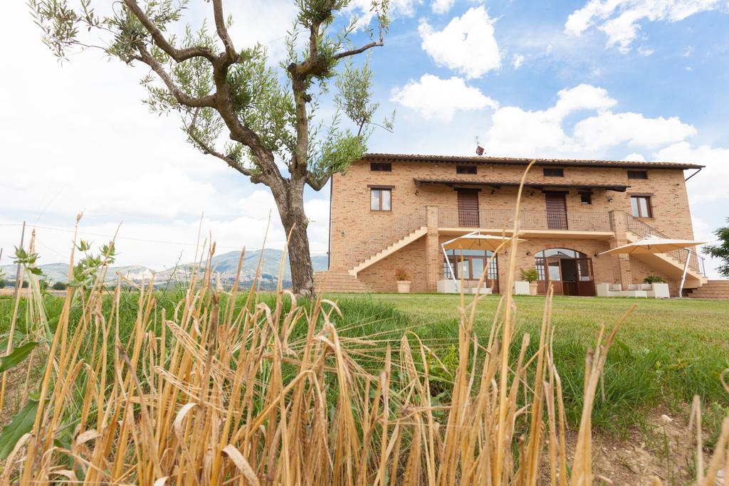 Assisium Agriturismo 外观 照片