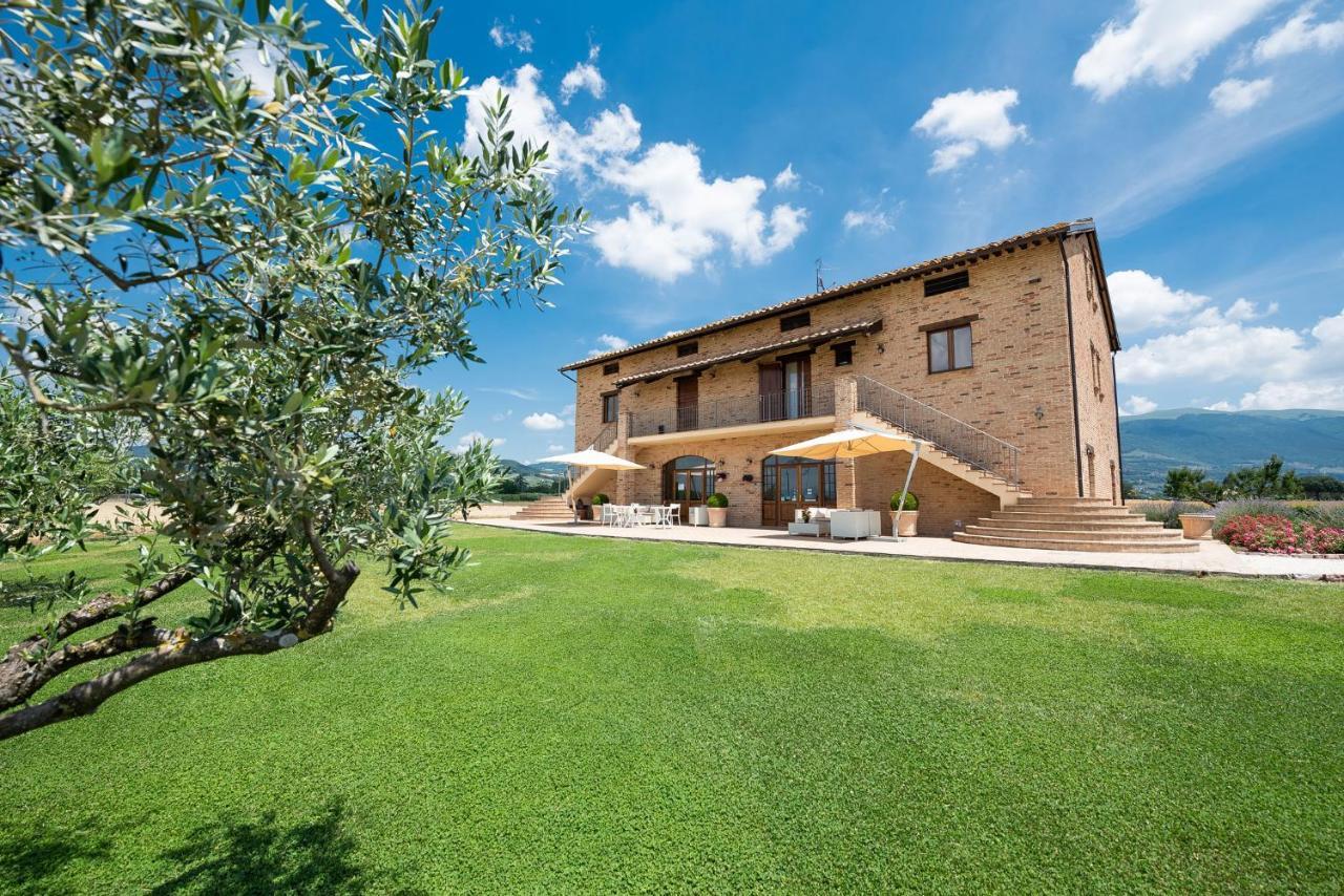 Assisium Agriturismo 外观 照片